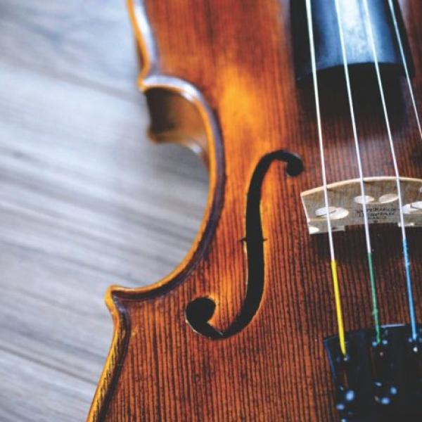 Bonus strumenti musicali / bonus stradivari