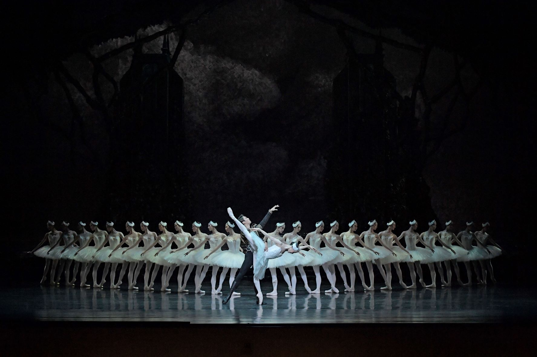 "Il lago dei cigni" (photo Shikama Takashi)