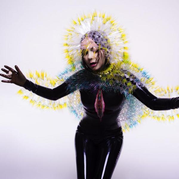 Bjork Vulnicura