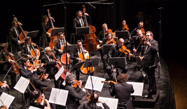 Gatti e l'Orchestra Mozart